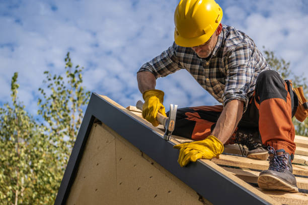 Best Roof Moss and Algae Removal  in Newport, WA